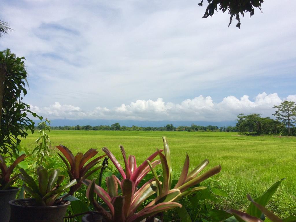 Oui Kaew Homestay Phayao Exteriör bild