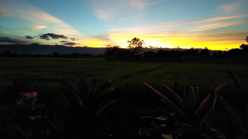 Oui Kaew Homestay Phayao Exteriör bild